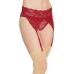 Crotchless Panty W/ Attached Garter Merlot O/s One Size Fits Most
