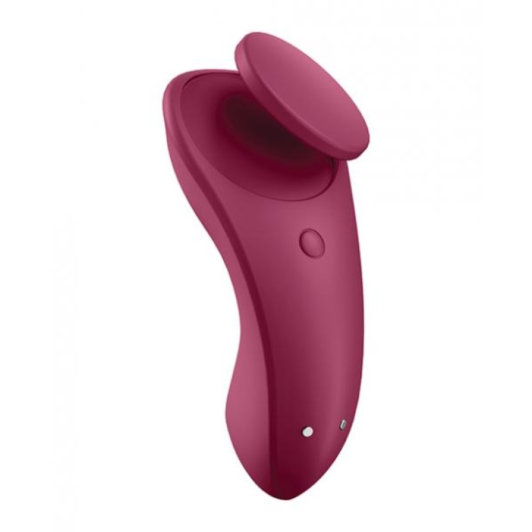 Satisfyer Sexy Secret Wine Red (net)