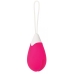 Rechargeable Egg Pink Vibrator Remote Control