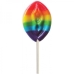 Rainbow Pussy Pops Adult Candy Lollipop Assorted