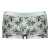 Sheer Prints Short Flamingo X-large