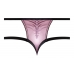 Sensual Desires Panty Mauve S/m Pink