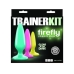 Firefly Anal Trainer Kit 3 Butt Plugs Multicolor Multi-Color