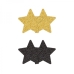 Pretty Pasties Glitter Stars Black/gold 2 Pair