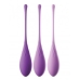 Fantasy For Her Kegel Train Her Set Purple