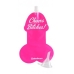 Bachelorette Party Favors Pecker Party Flasks 3 Pack Pink