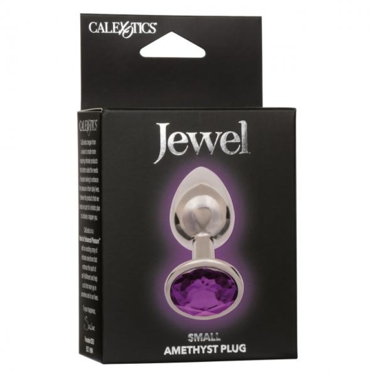 Jewel Small Amethyst Plug Silver