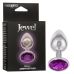 Jewel Small Amethyst Plug Silver