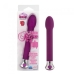 10 Function Risque Tulip Vibrator Purple