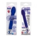 10 Function Risque Tulip Vibrator Blue