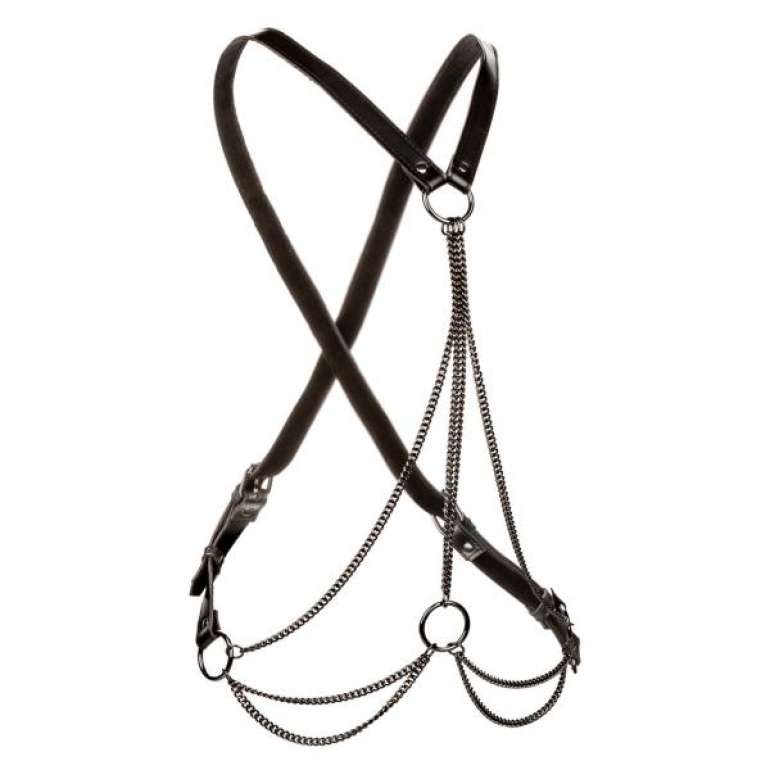 Euphoria Multi Chain Harness Plus Size Black