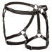 Euphoria Plus Size Riding Thigh Harness One Size Queen