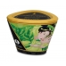 Shunga Massage Candle Zenitude Exotic Green Tea 5.7oz