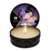 Massage Candle Exotic Fruits 1oz.