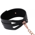 S&m Brat Collar & Leash Orange