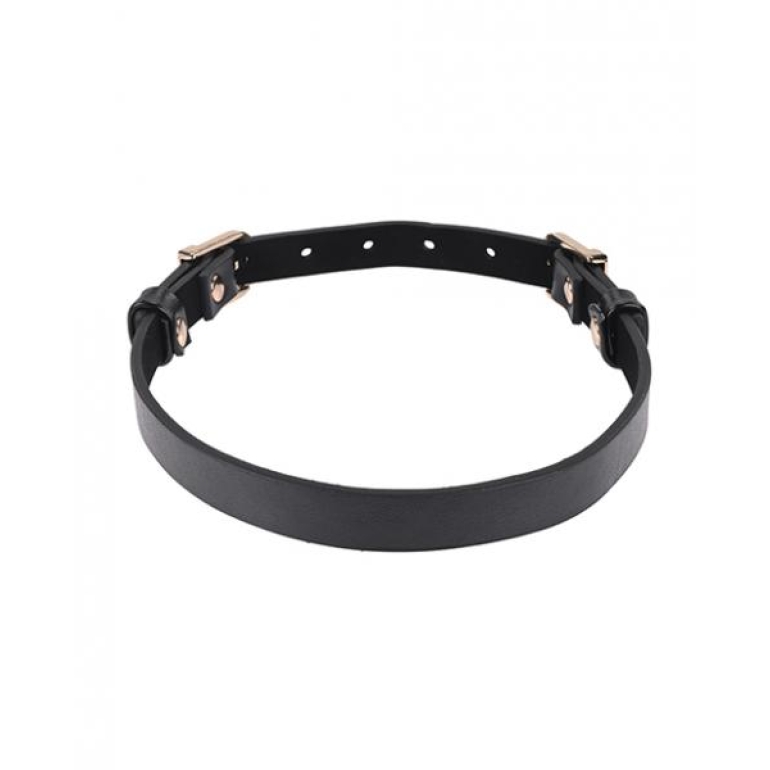 Sex & Mischief Double Buckle Day Collar Black