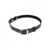 Sex & Mischief Double Buckle Day Collar Black