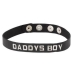 Wordband Collar Daddys Boy Black White