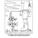 A Visit To The Cannabis Farm Coloring Book (net)