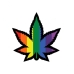 Rainbow Marijuana Leaf Pin (net)