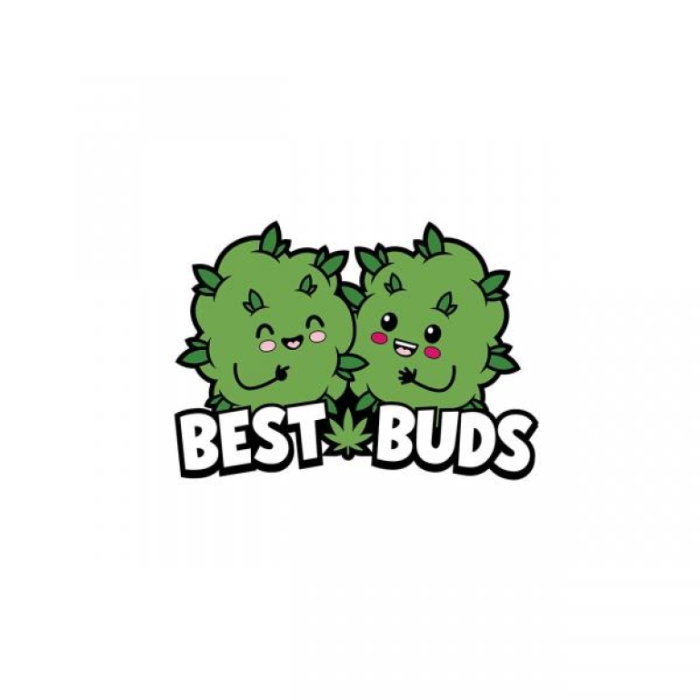 Best Buds Pin (net)