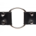 Master Series Strap & Ride Dildo Strap Harness Black