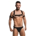 Master Series Elastic Chest Harness W/ Arm Bands L/xl Gold