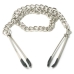 Tweezer Nipple Clamps Silver