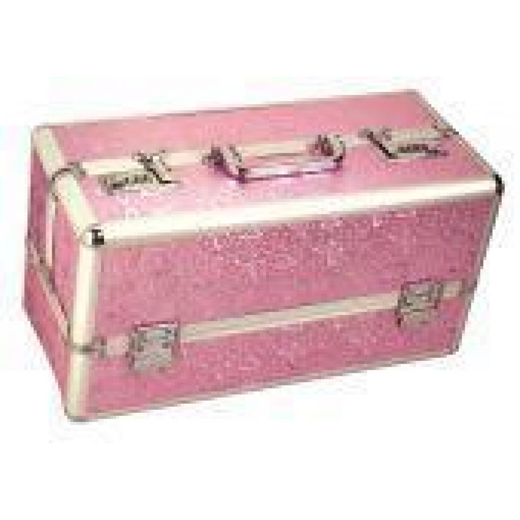 Lockable Vibrator Case - Large Pink