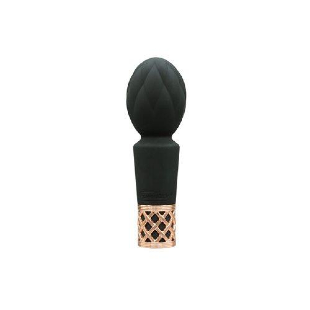 Pillow Talk Secrets Pleasure Wand - Black