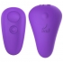 Leaf Spirit Plus Panty Vibe With Remote Control - Purple