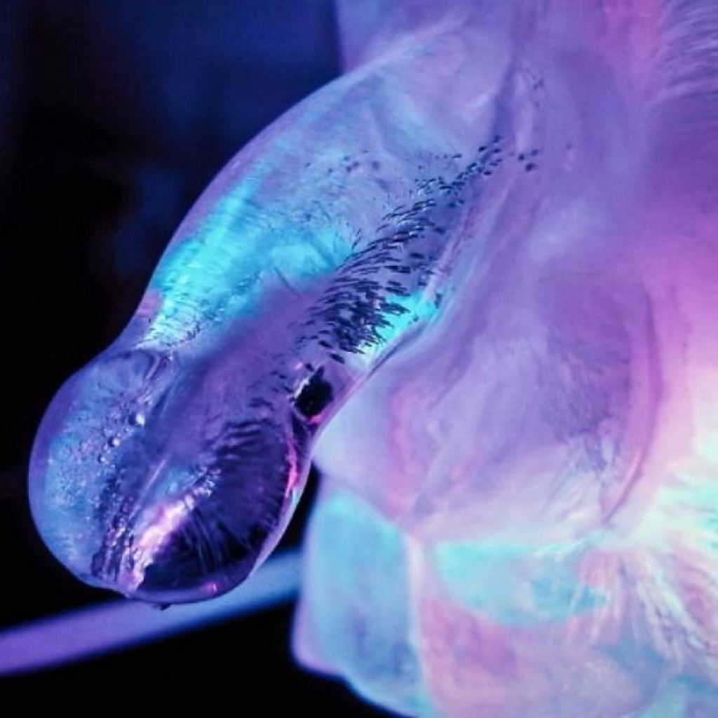 Play Wiv Me Huge Penis Ice Luge