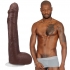 Signature Cocks Anton Hardon Dildo with Removable Suction Cup - Chocolate Brown