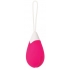 Rechargeable Egg Vibrator with Remote Control - Pink