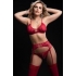 4-Piece Bra, Garter Belt, Thong & Stocking Set in Red