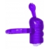 Horny Honey Coochy Caterpillar - Purple