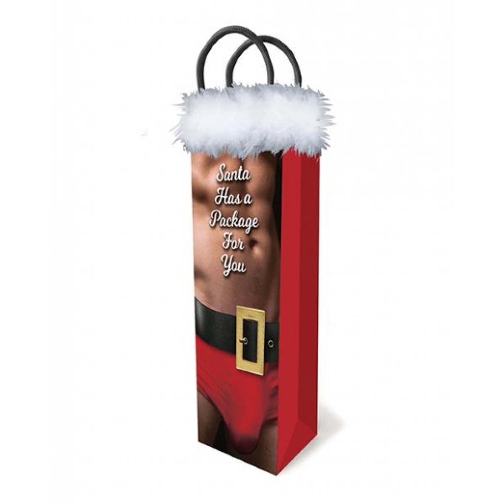 Santa Has A Big Package For You - Gift Bag