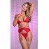 Sheer Mesh Bra, Garter Belt & Panty Set - Alluring Red