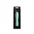 Desire Destiny - Mint Green Vibrator for Ultimate Pleasure