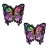 Pastease Trippy Butterfly Melt Rainbow Glitter Pasties