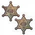 Pastease Sheriff Badge Gold Glitter Pasties