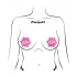 Pastease Babe Pink Stars Nipple Pasties