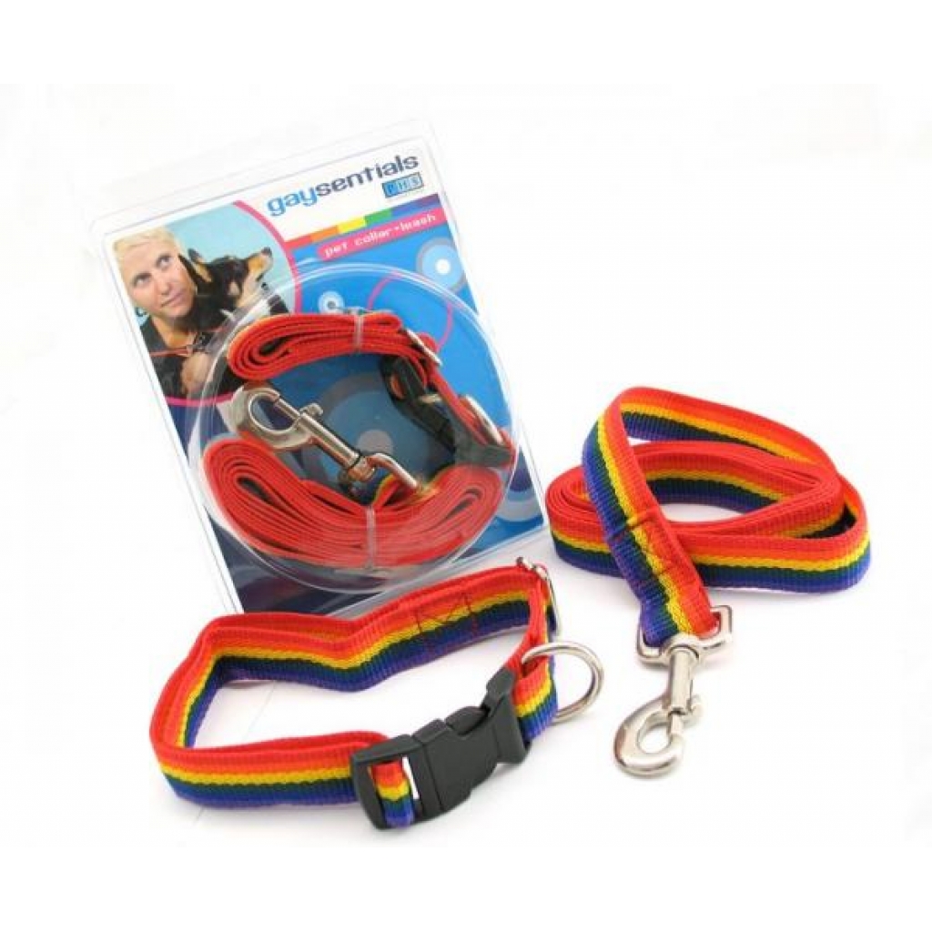 Gaysentials Pride Goods Large Pet Collar and Leash Set - Multi-Color