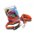 Gaysentials Pride Goods Large Pet Collar and Leash Set - Multi-Color