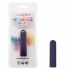 Turbo Buzz Rounded Bullet - Purple Vibration Delight