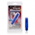 Waterproof Travel Blaster - Blue