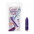 Crystal High Intensity Bullet - Purple