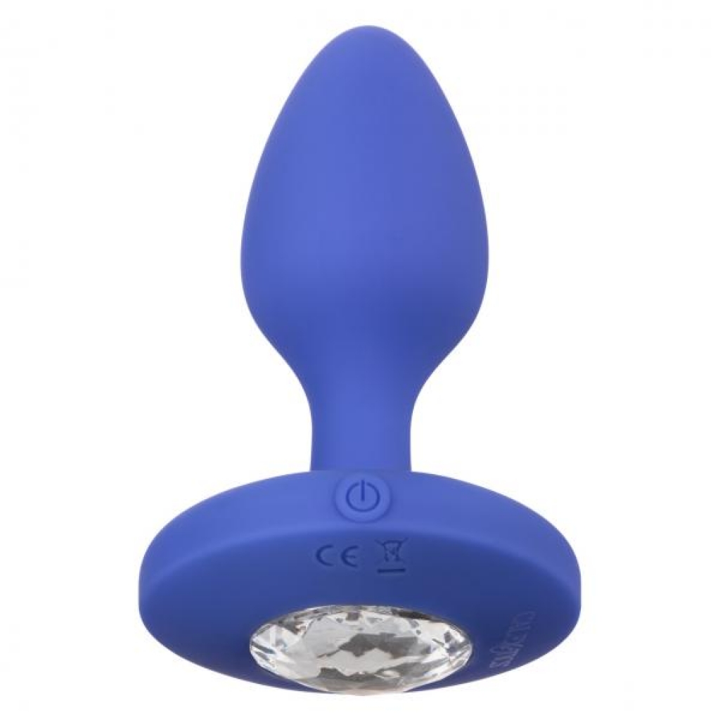 Cheeky Gems Medium Vibrating Probe - Blue/Purple