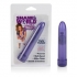 Shane's World Sparkle Vibrator in Purple