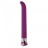 Risque G 10 Function Vibrator - Purple